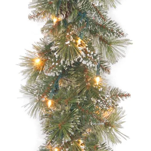 9' Crystal Elegance Pine Pre-Lit Artificial Garland