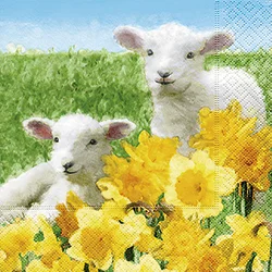 Cute Lambs Luncheon Size Paper Napkins by Made by Paper and Design GmbH