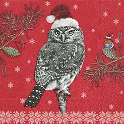 Robin and Owl Luncheon Size Paper Napkins by Made by Paper and Design GmbH