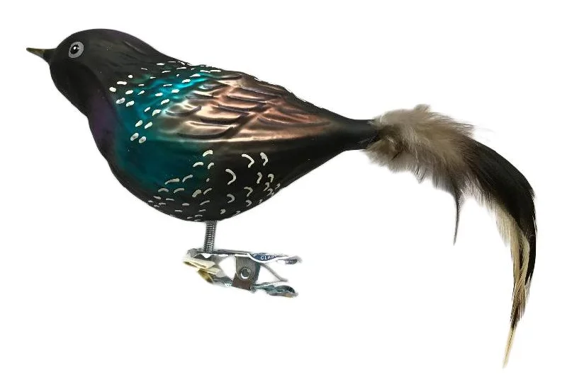 Starbird with feather tail by Glas Bartholmes